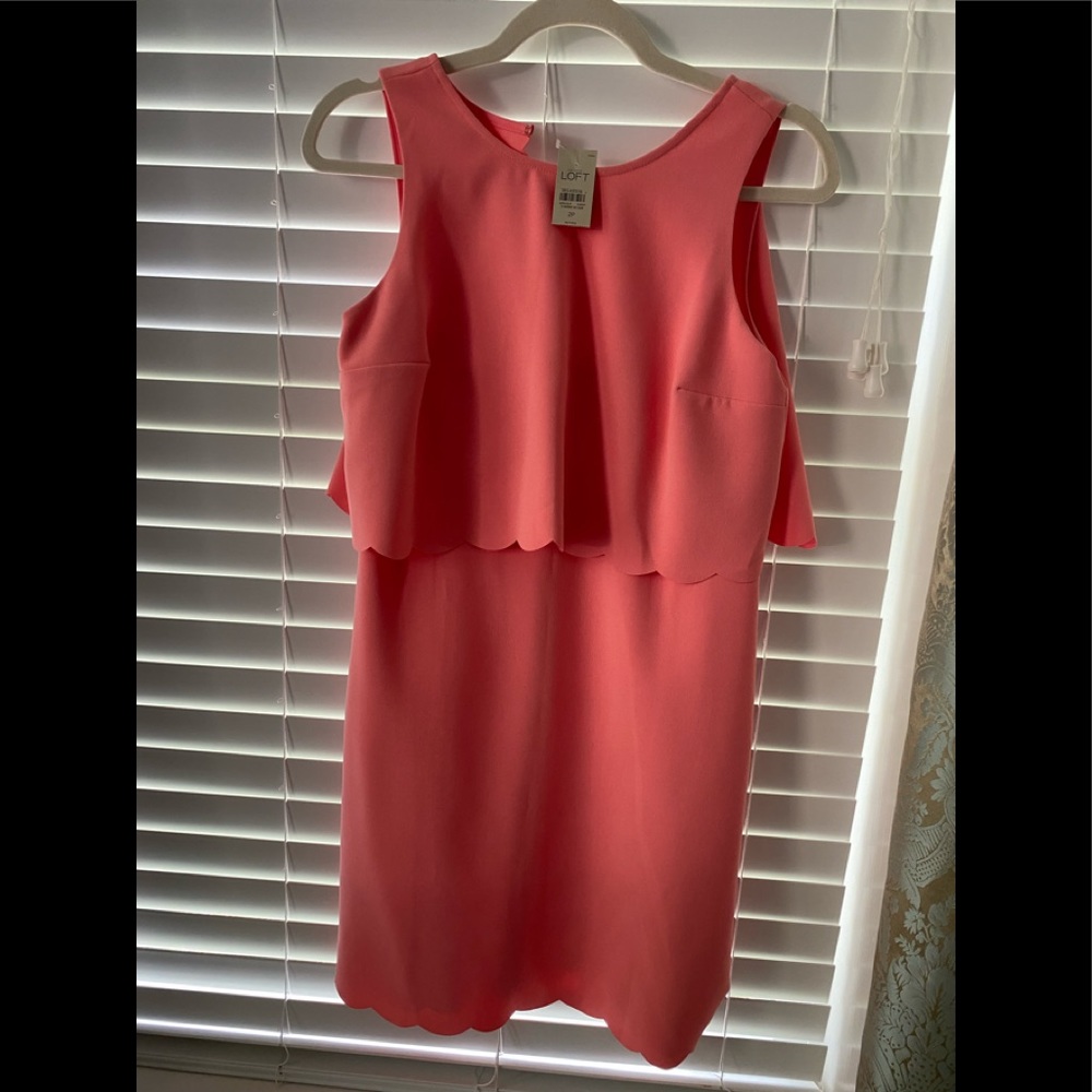 NWT Loft Peach/Orange color dress